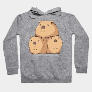 3 Capybara hanging out Hoodie